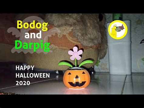 Happy Halloween Bodog
